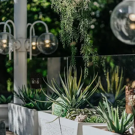 Landgasthof Adler 3* Breisach