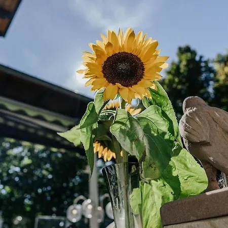 イン Landgasthof Adler